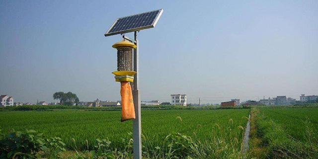 沧县太阳能灯路灯,豆灯头生产厂家的详情,路灯,指给道路提供照明功能